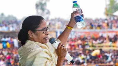 mamatabanerjee5-1613375059