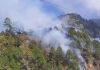 Nainital: इस बार नवंबर की सर्द हवाओं के बीच आग से धधकने लगे जंगल, भारी नुकसान