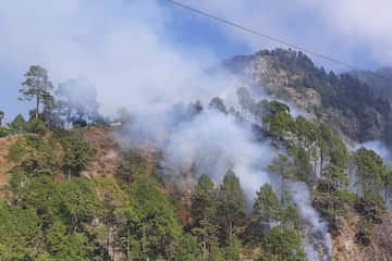 fire-jangule-16369021503x2