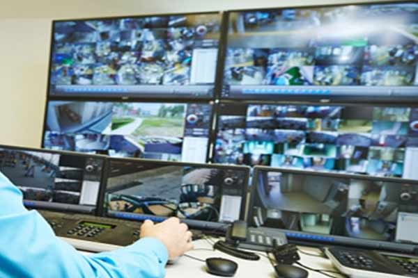 pet-70-1637149848-496751-khaskhabar